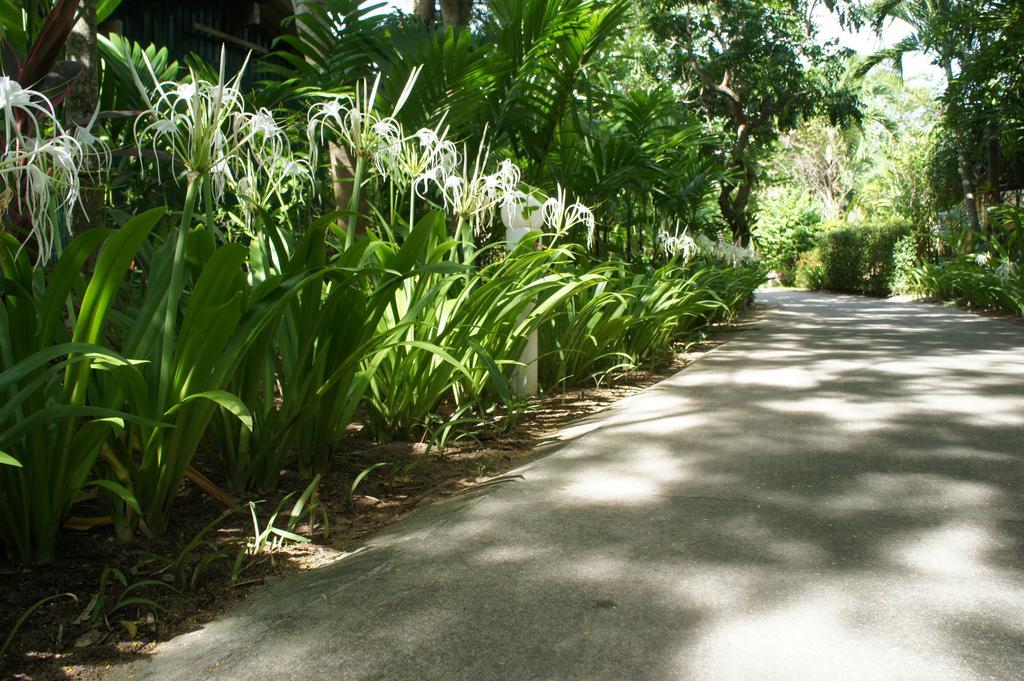 Palm Village Rawai Exterior photo
