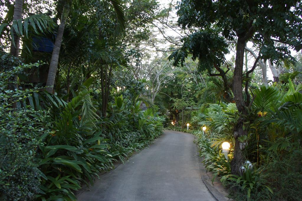 Palm Village Rawai Exterior photo
