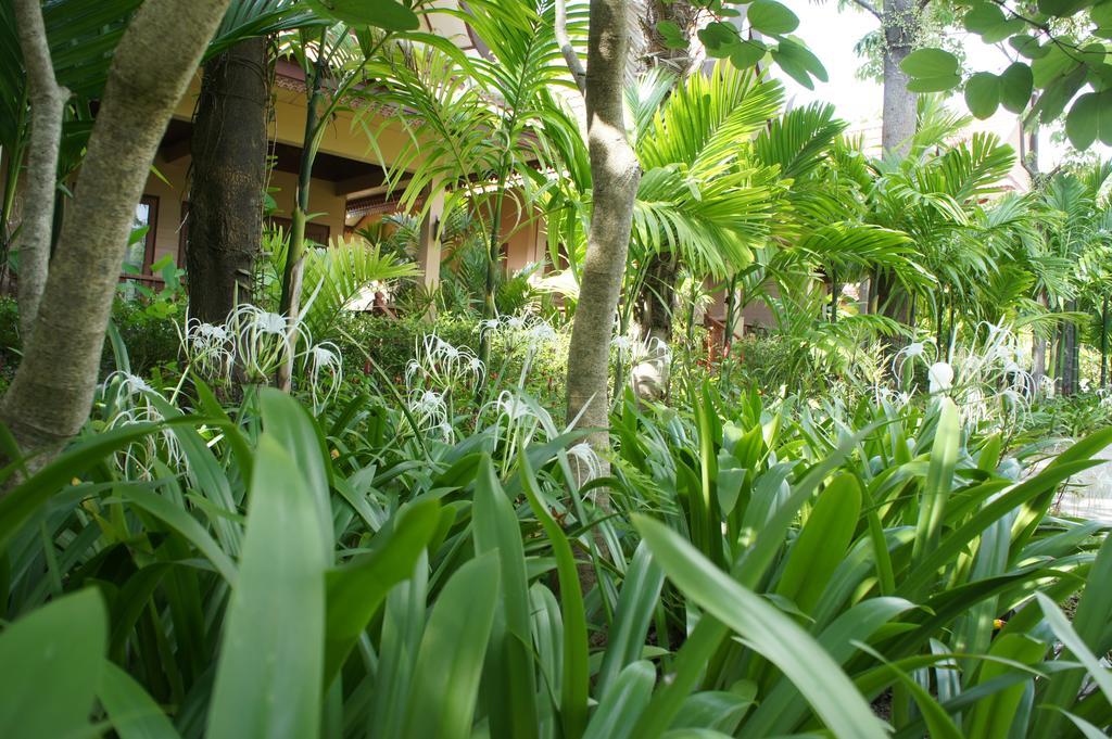 Palm Village Rawai Exterior photo