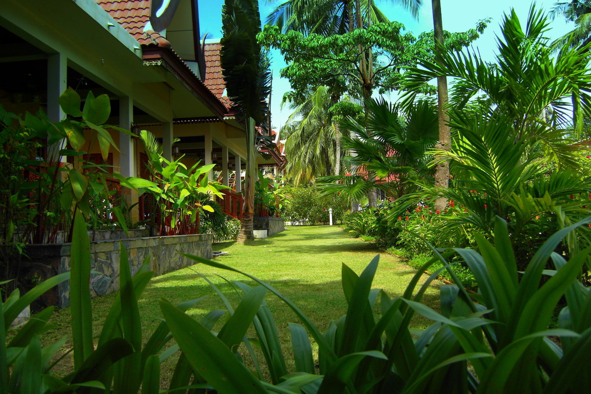 Palm Village Rawai Exterior photo